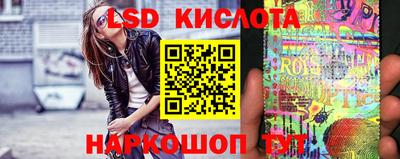 крисы Кимры