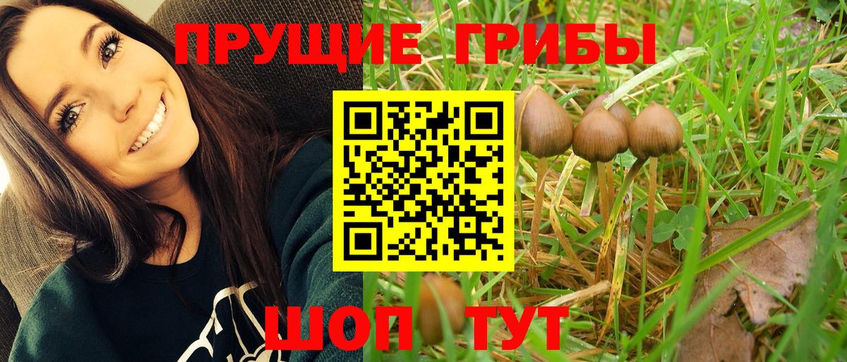 Галлюциногенные грибы GOLDEN TEACHER Кудрово